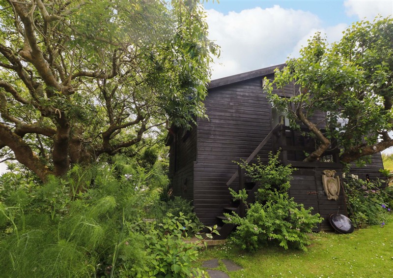 Outside (photo 3) at The Tree House, Nine Wells near Solva