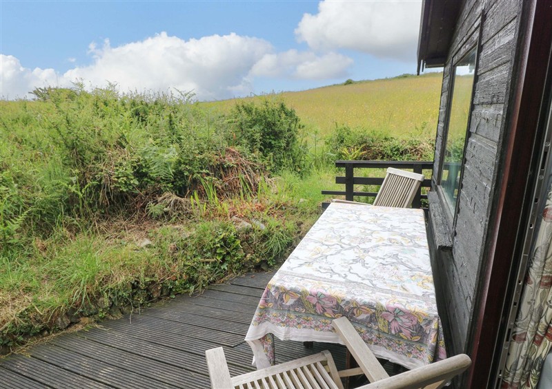 Outside at The Tree House, Nine Wells near Solva