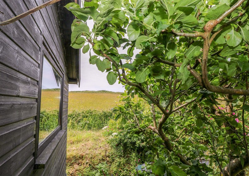 This is the setting of The Tree House at The Tree House, Nine Wells near Solva