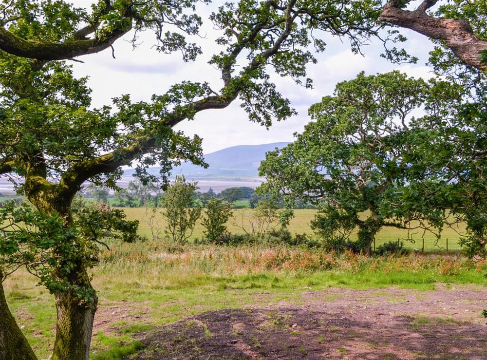 View (photo 2) at The Treehouse @ Caerlaverock in Glencaple, near Dumfries, Dumfriesshire