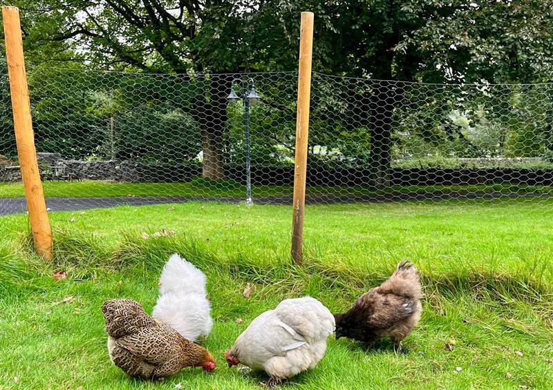Enjoy the garden (photo 2) at The Treetop, Giggleswick near Settle