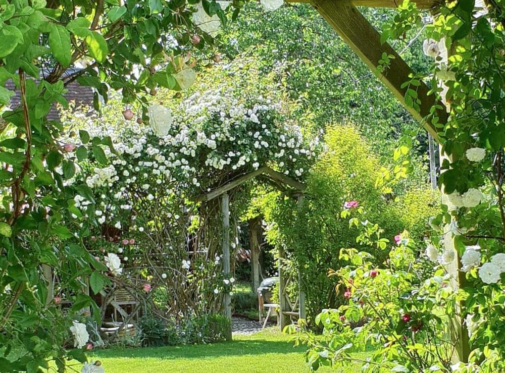 Garden at The Victorian Lodge in Windsor, Berkshire