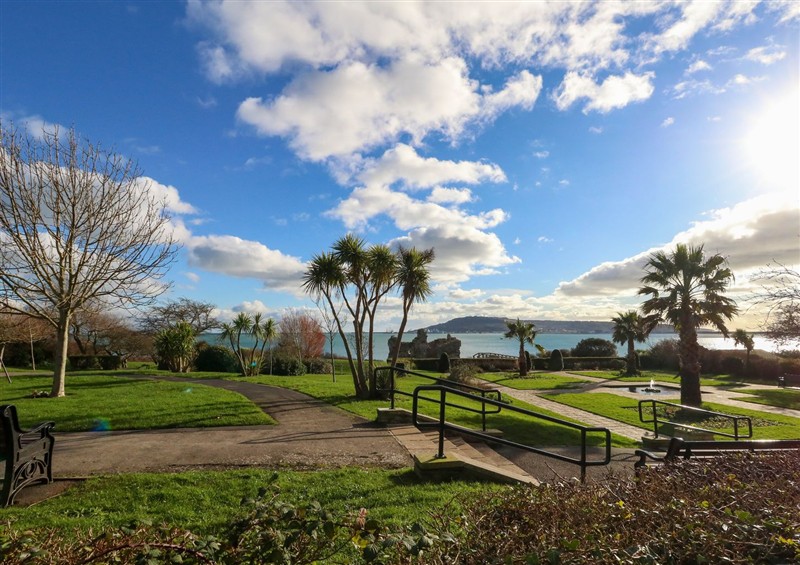 The garden in The View at The View, Weymouth