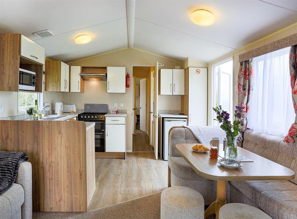 Open plan living space (photo 5) at The Villa at Youlditch Farm in Okehampton, Devon