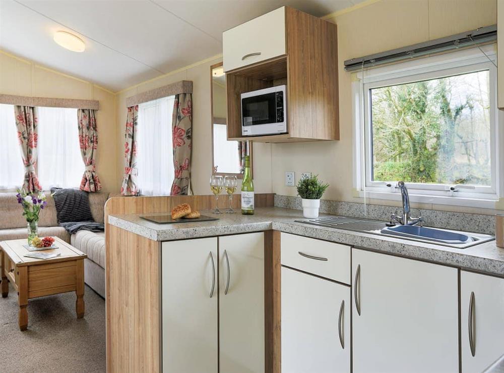 Open plan living space (photo 6) at The Villa at Youlditch Farm in Okehampton, Devon