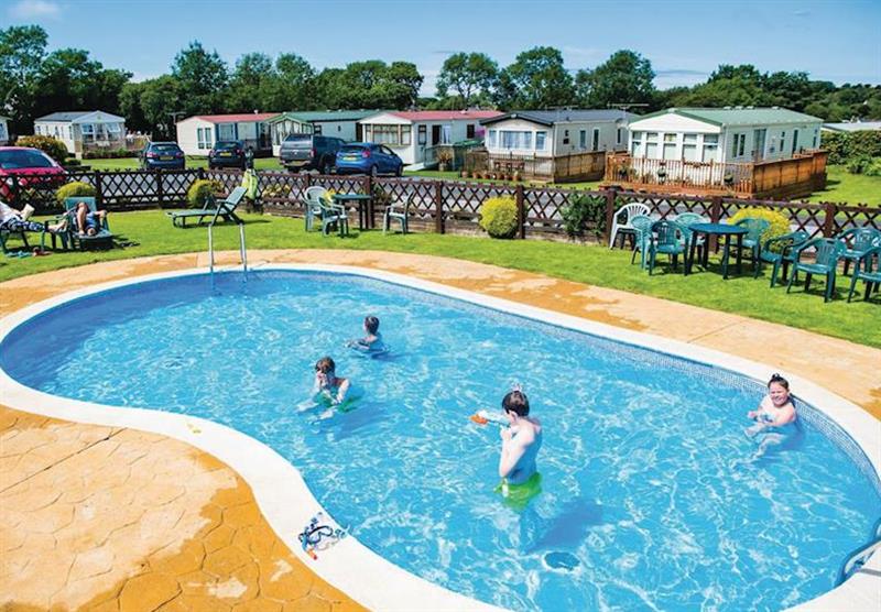 Outdoor pool at The Village Holiday Park in Cross Inn, Nr New Quay