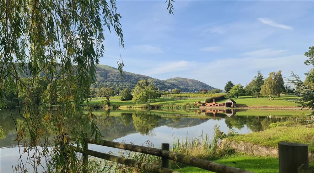 A photo of The Vineyard Lake House