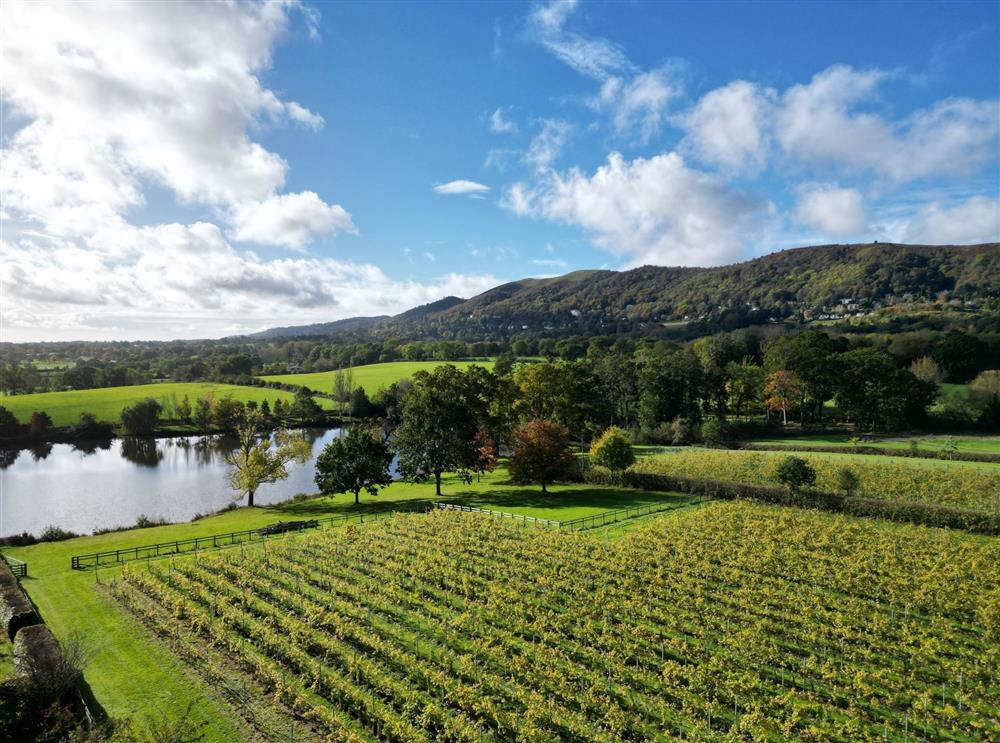 A photo of The Vineyard Lake House