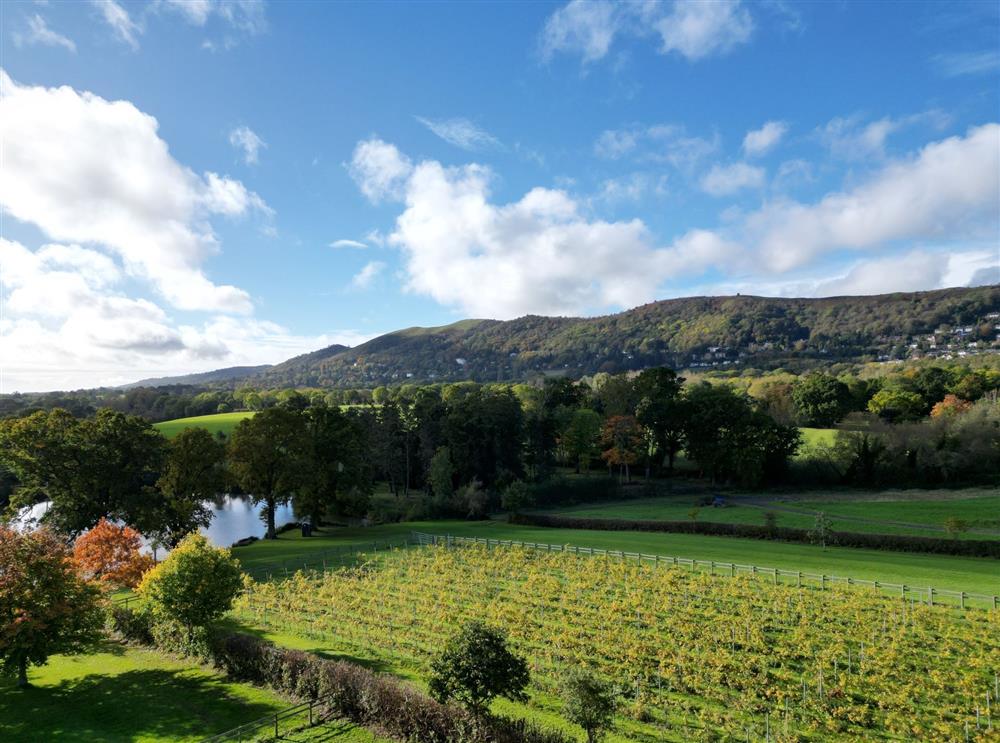 A photo of The Vineyard Lake House