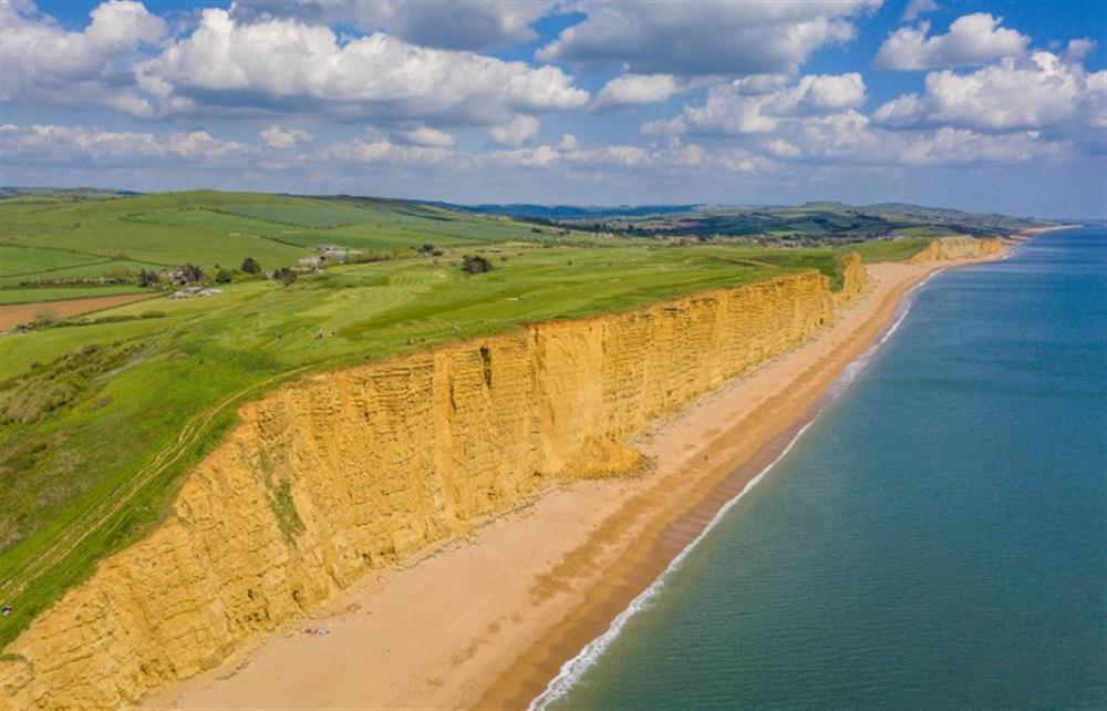 Photos of The Walk, Lyme Regis