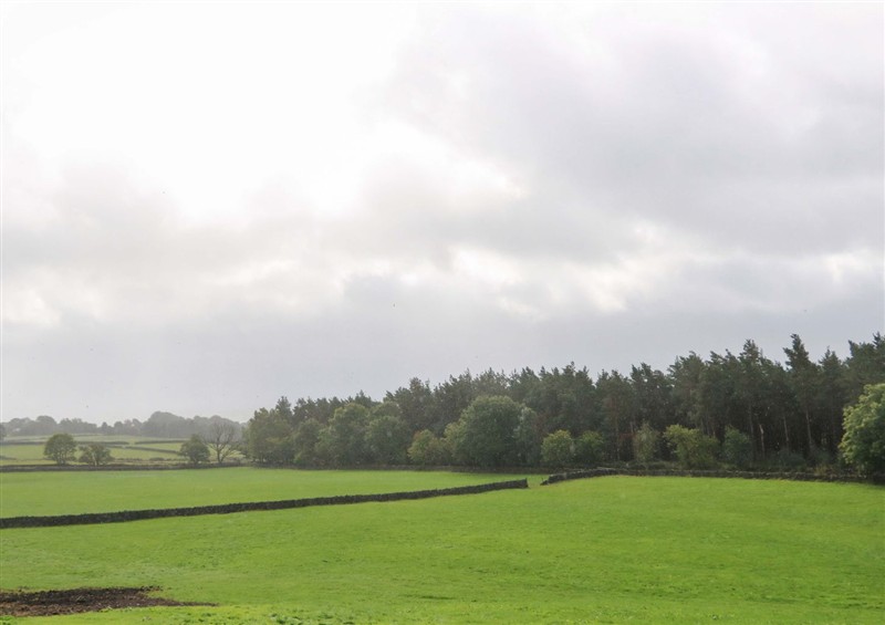 This is the garden at The Warren Barn, Kirkby Malzeard