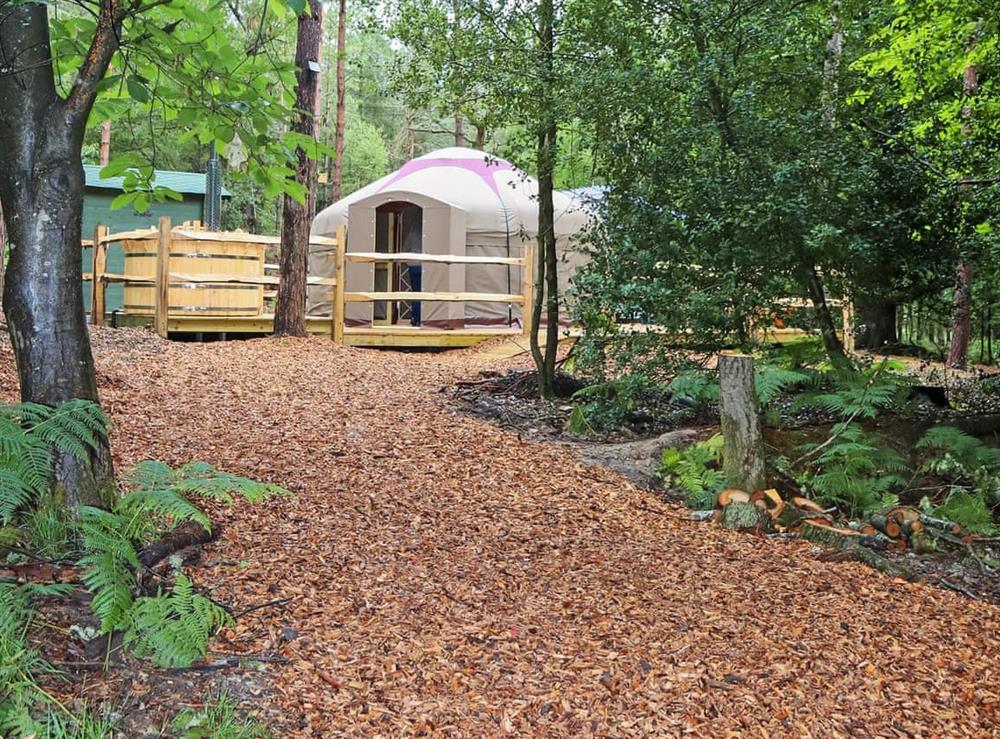 Beautifully designed Yurt