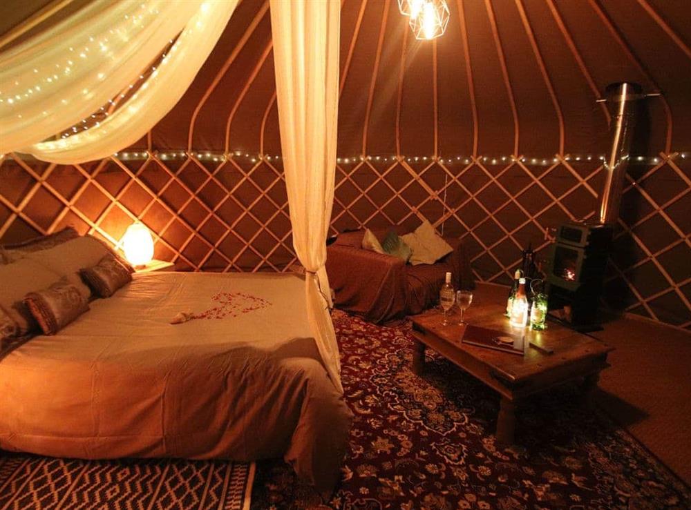Open plan living space at The Warren Yurt in Black Hill, near Crowborough, East Sussex