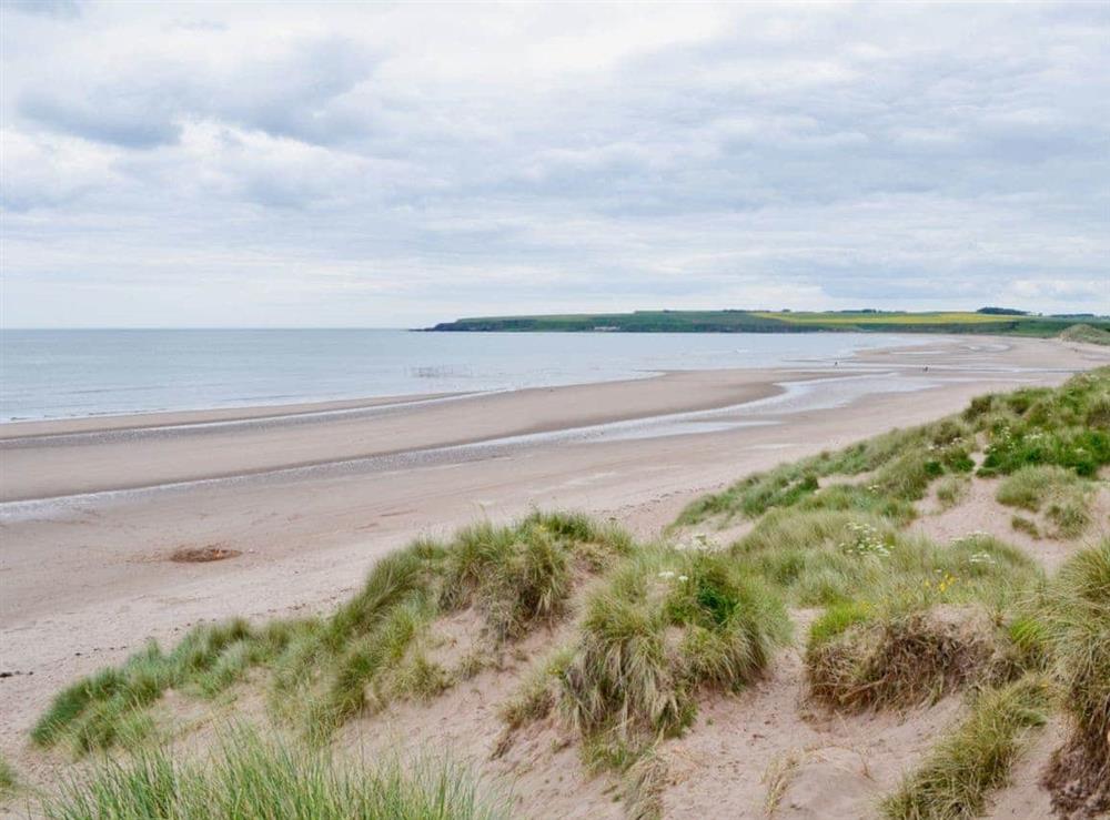 Beach at The Water Tower in Nr. Auchmithie, Angus