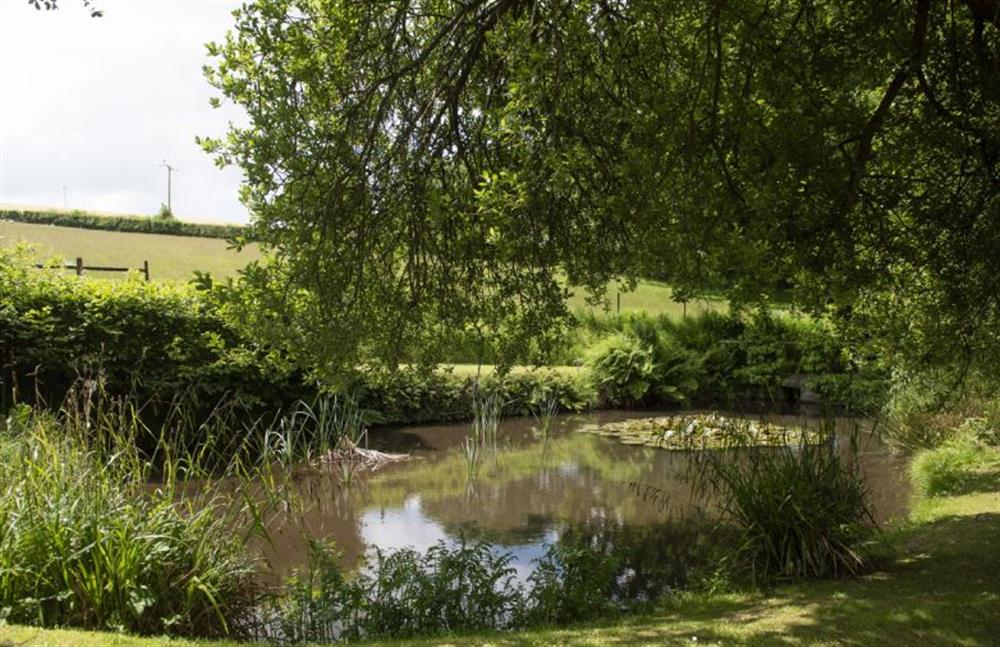 Behind the tennis court sits this lovely pond