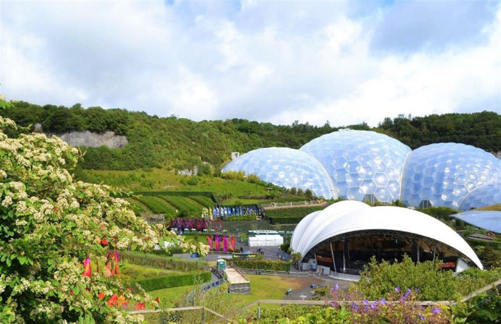 The world-famous Eden Project makes a great day out for all the family