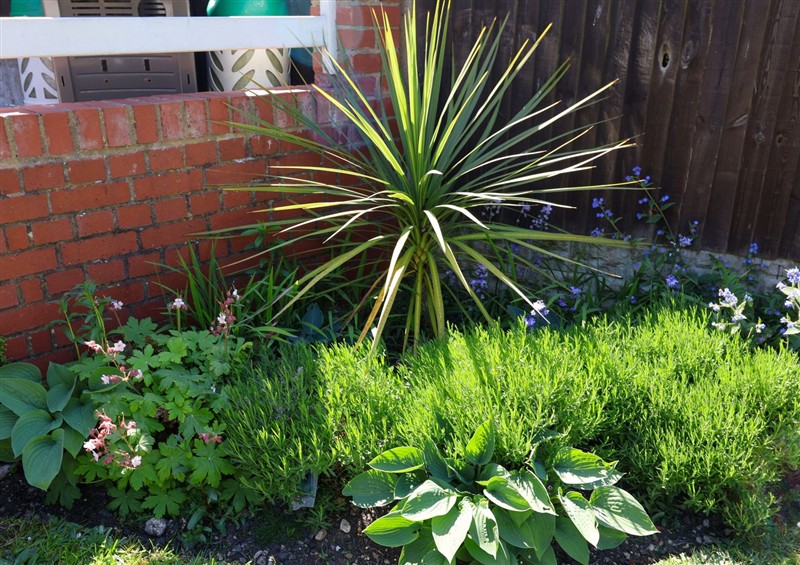 Enjoy the garden at The Waverley, Southwold