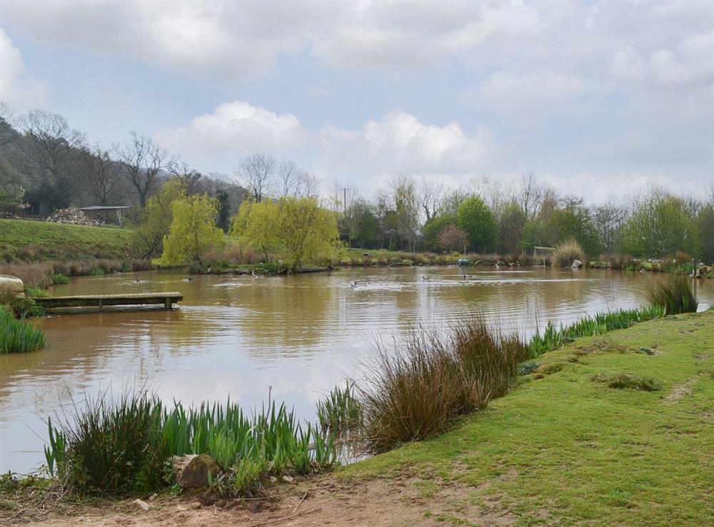 Large carp fishing pond available on-site at The Wheel House in Easthill, near Ottery St Mary, Devon