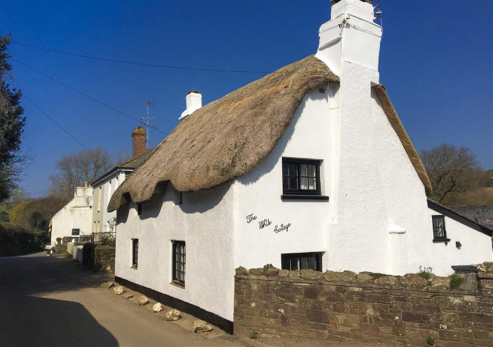 This is the setting of The White Cottage at The White Cottage in South Milton