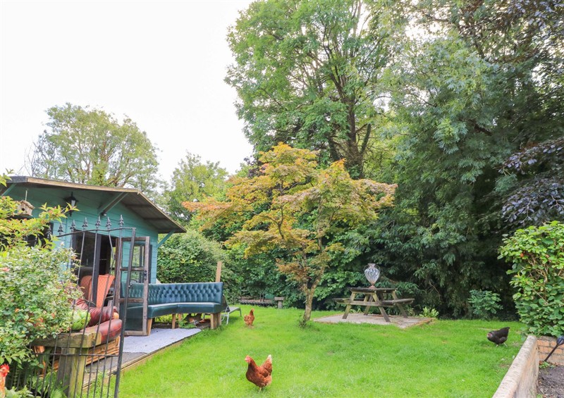 The garden at The White House, Piddletrenthide