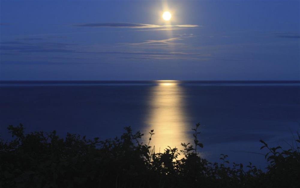 Moonlight over the bay from the terrace. at The White House in Torcross