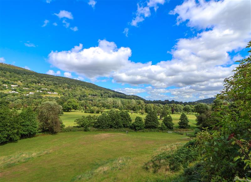 Rural landscape