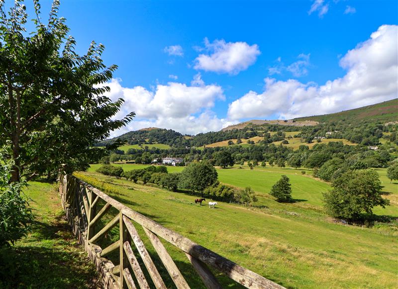 Rural landscape