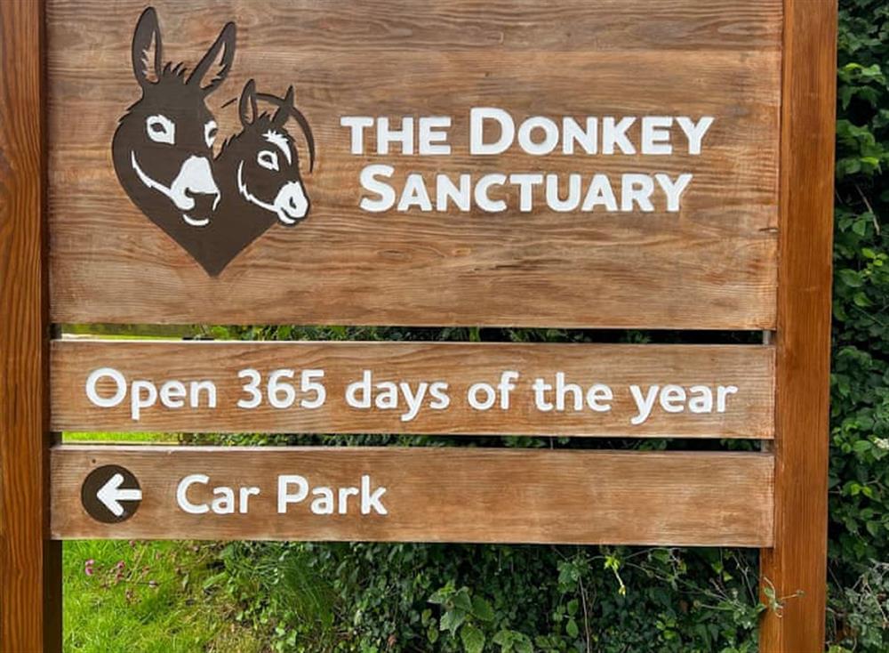 Local attraction (photo 2) at The Wonkey Donkey Cottage in Weston, Devon