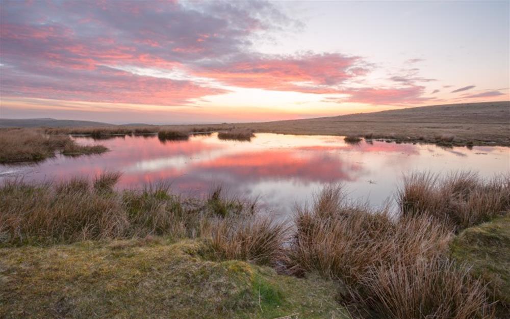 Visit the beautiful West Mill Tor Pond! at The Wool Store in Haytor