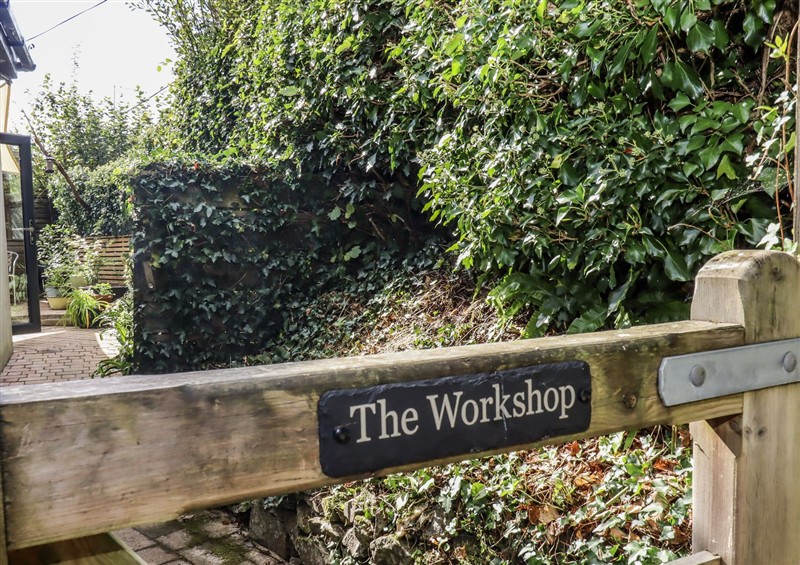 The garden at The Workshop, Mary Tavy