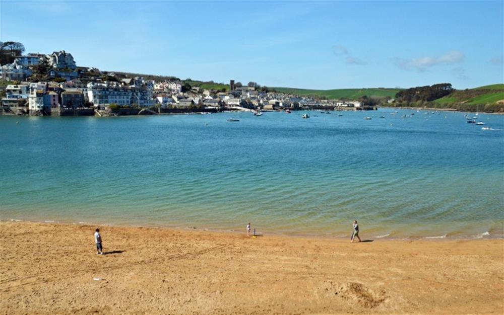 Stunning sandy beaches across the estuary (accessed by passenger ferry) at Thelma in Salcombe
