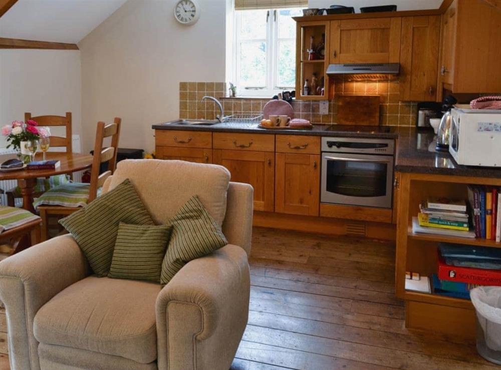 Open plan living/dining room/kitchen (photo 4) at Thimble Cottage in Hartland, North Devon., Great Britain