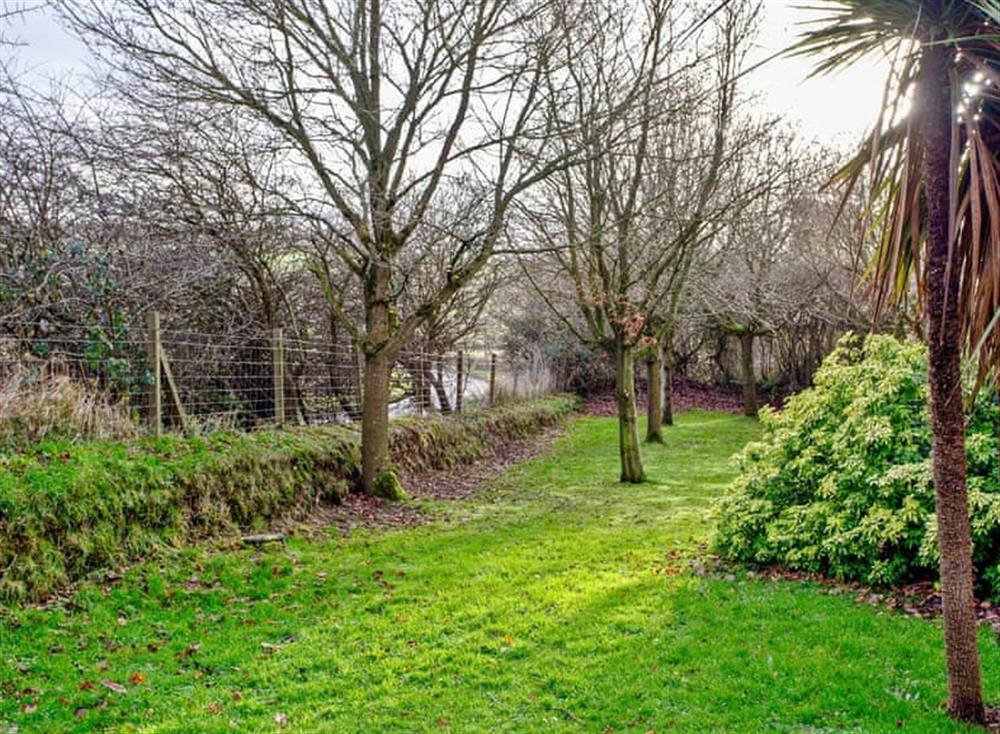 Large garden at Thistledew in Winkleigh, Devon