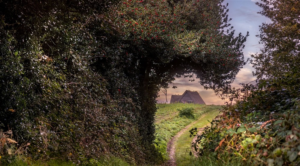 A track near Thorington Hall in autumn, Suffolk at Thorington Hall in Stoke By Nayland, Suffolk