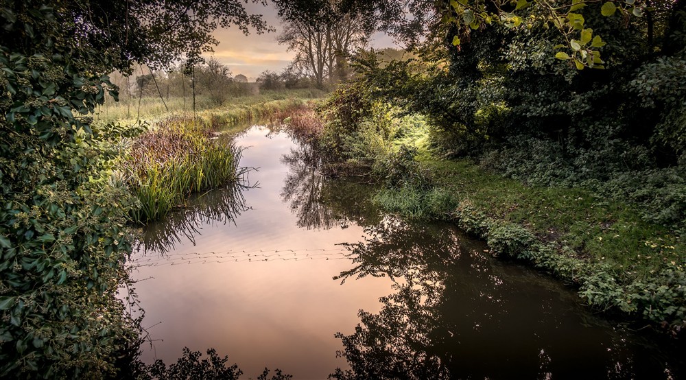 The River Box, near Thorington Hall, Suffolk at Thorington Hall in Stoke By Nayland, Suffolk