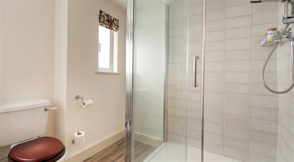 The shower room on the ground floor of Thorington Hall, Suffolk at Thorington Hall in Stoke By Nayland, Suffolk