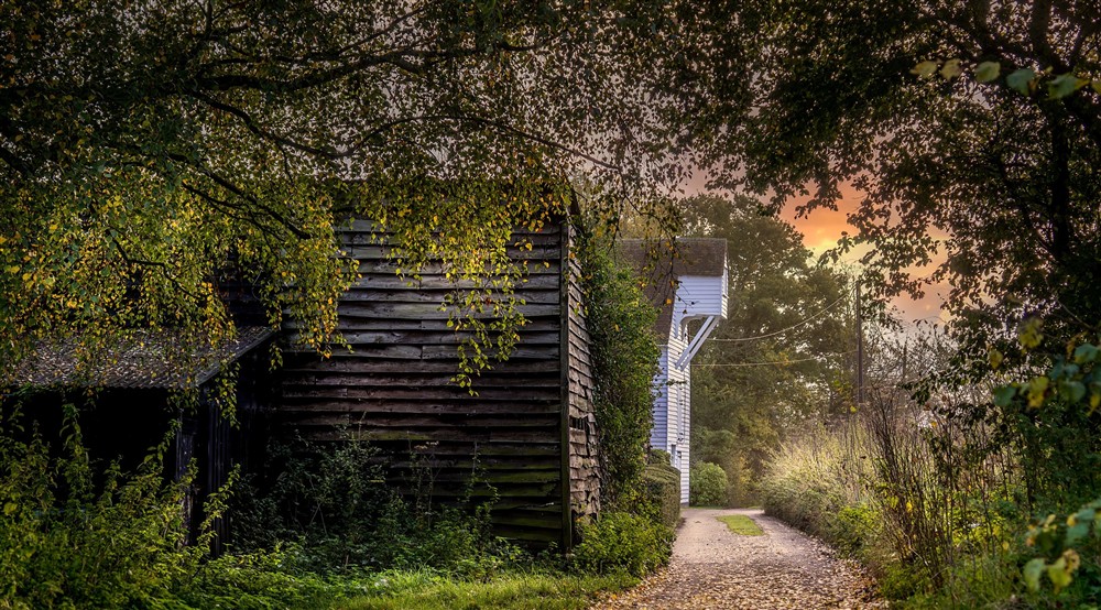 Timber buildings and trees in the surrounding area of Thorington Hall in autumn, Suffolk at Thorington Hall in Stoke By Nayland, Suffolk