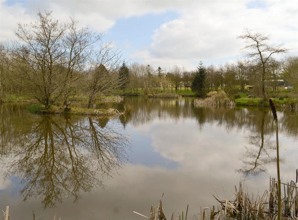 Tranquil lake and grounds at Acacia, 