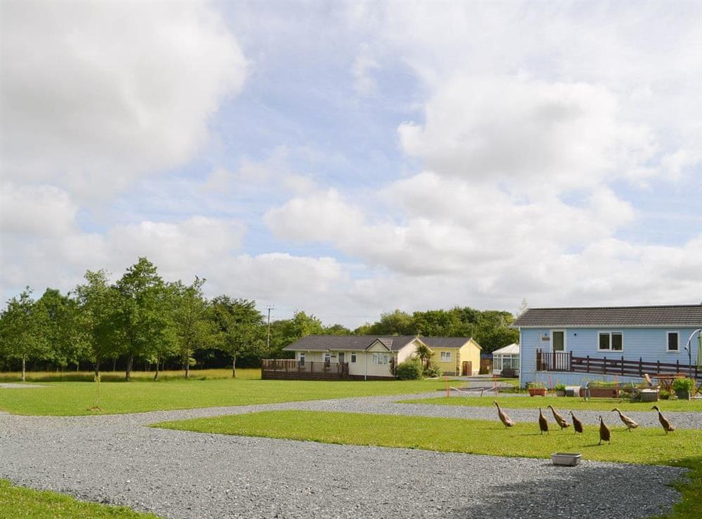 Attractive holiday homes in extensive grounds