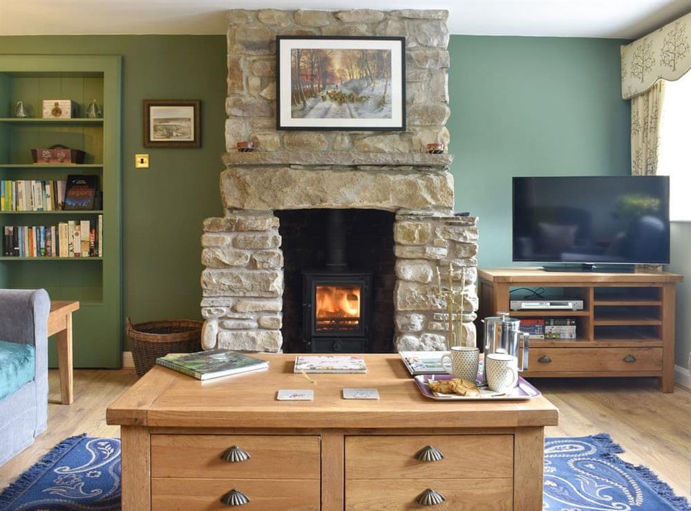 Living room at Thorneymire Cottage in Appersett, near Hawes, North Yorkshire