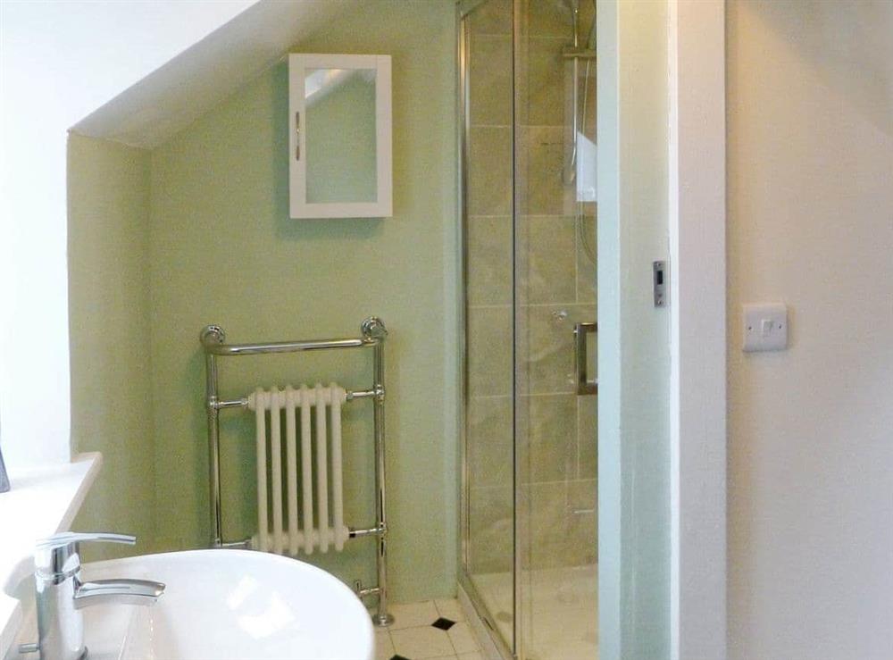 Shower room at Thornhill in Little Doward, near Whitchurch, Herefordshire
