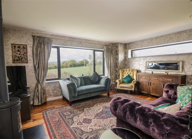This is the living room at Thornhill, Newtown near Enniscorthy