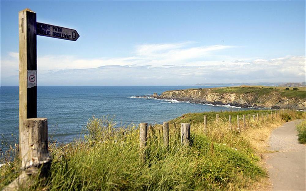 The South West Coastal path at Thorpe Arnold Major in Thurlestone