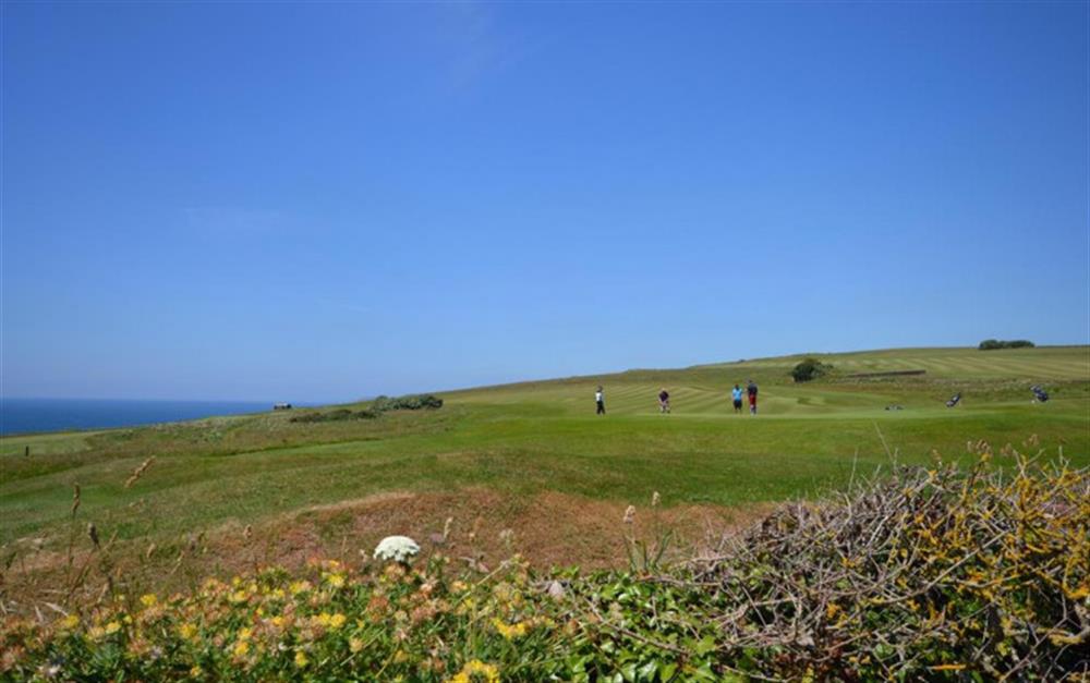 Unrivalled views of the golf course, cliffs and the sea - taken from the garden. at Thorpe Arnold in Thurlestone