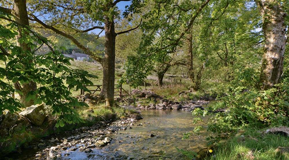 The surrounding area of Thrang, Cumbria (photo 2) at Thrang in Seathwaite, Cumbria