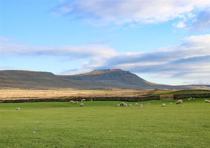 The area around Three Peaks Barn