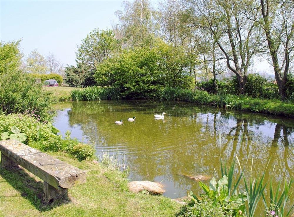 Pond (photo 2) at Threshing Barn in Glaisdale, Nr Whitby, North Yorkshire., Great Britain