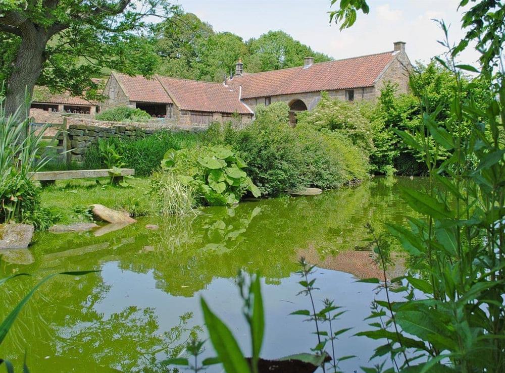 Pond at Threshing Barn in Glaisdale, Nr Whitby, North Yorkshire., Great Britain