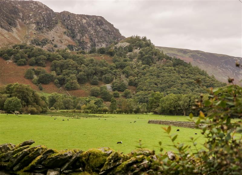 Rural landscape at Thwaite How, Rosthwaite nr Keswick