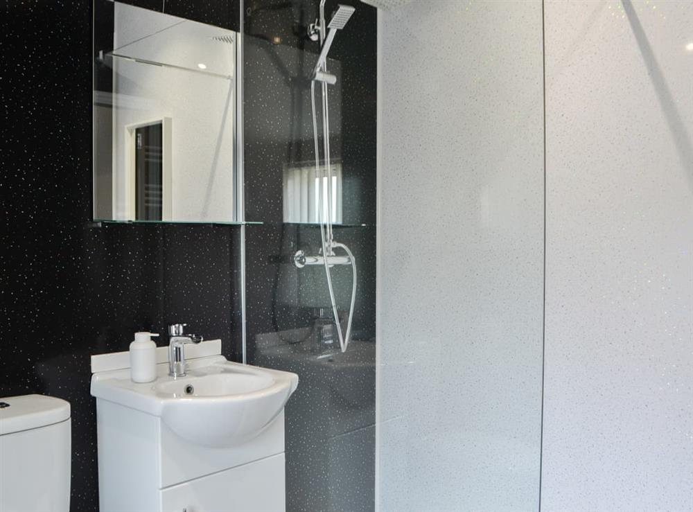 Shower room (photo 3) at Tiberius Claudius Augustus Germanicus Suite in Bowness-on-Solway, Cumbria